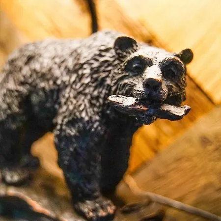 Timberjacks * Kassel